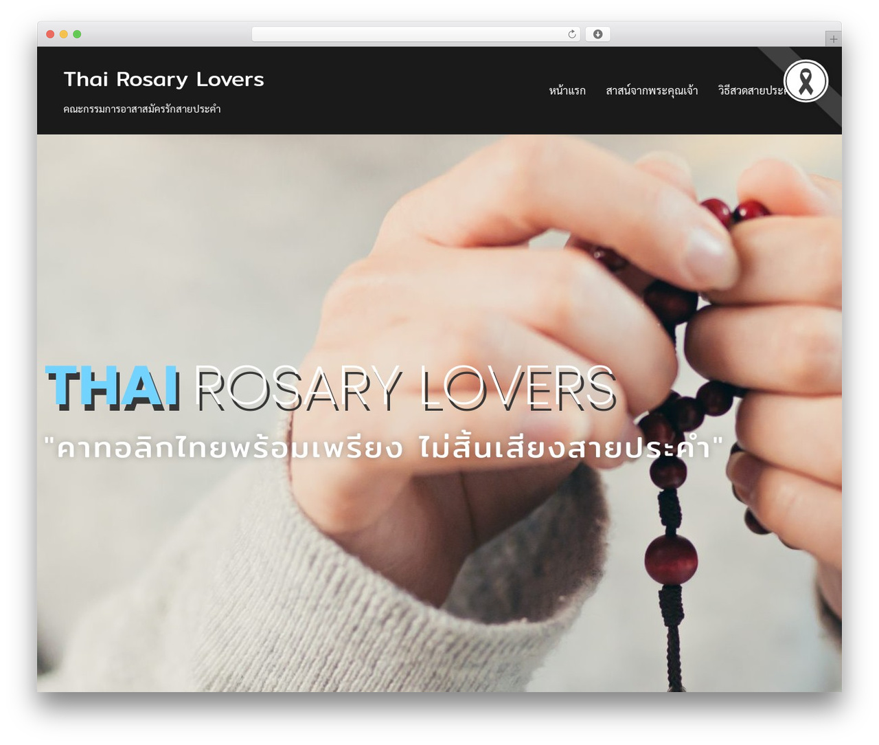 WordPress theme Wpazure - thairosarylovers.com