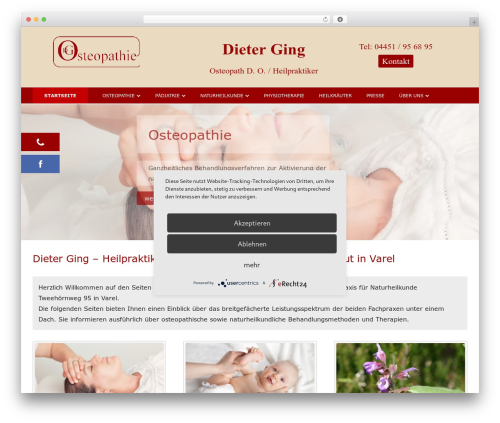 Best WordPress theme Tiny Framework - heilpraktiker-osteopath.de
