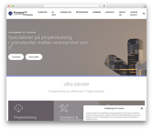 Client name theme WordPress - prozena.com