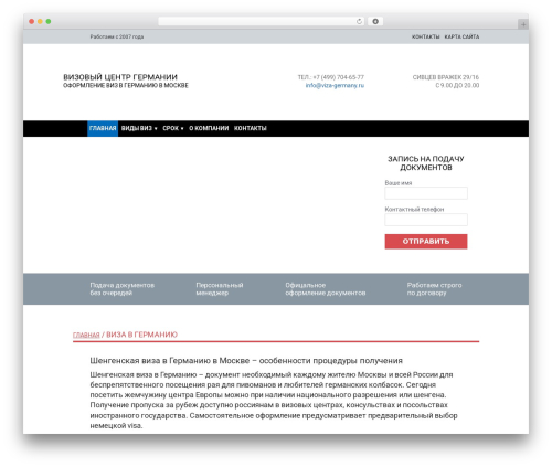 delfi WordPress theme - viza-germany.ru