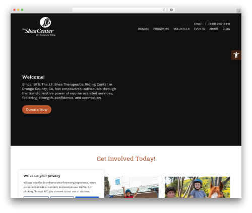Divi mobile menu WordPress plugin - sheacenter.org