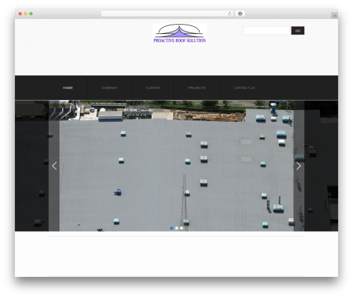 theme1629 WordPress theme - prsigroup.net