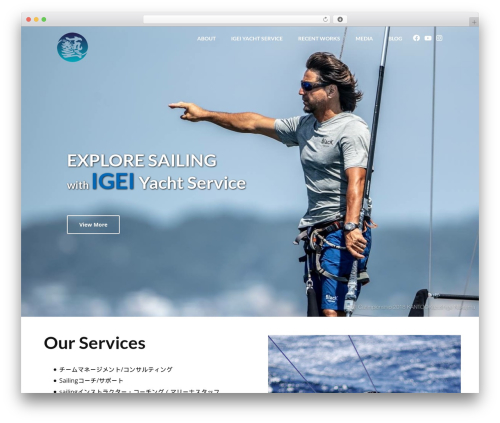 WordPress theme Optimizer PRO - igei.net WordPress theme Optimizer PRO - igei.net