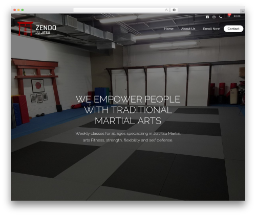 WP theme Lambda - zendojujitsu.com