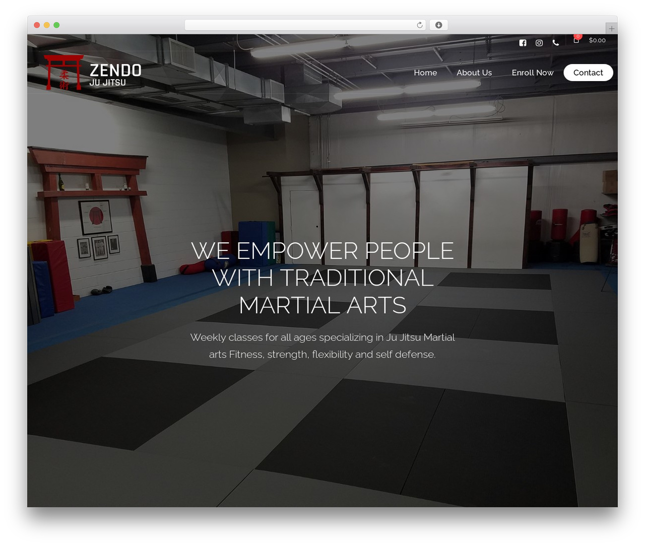 WP theme Lambda - zendojujitsu.com