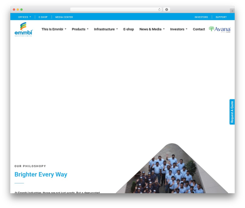 Ave core WordPress plugin - emmbi.com