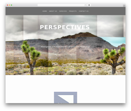 Dry WP WordPress theme - perspectivesweb.com