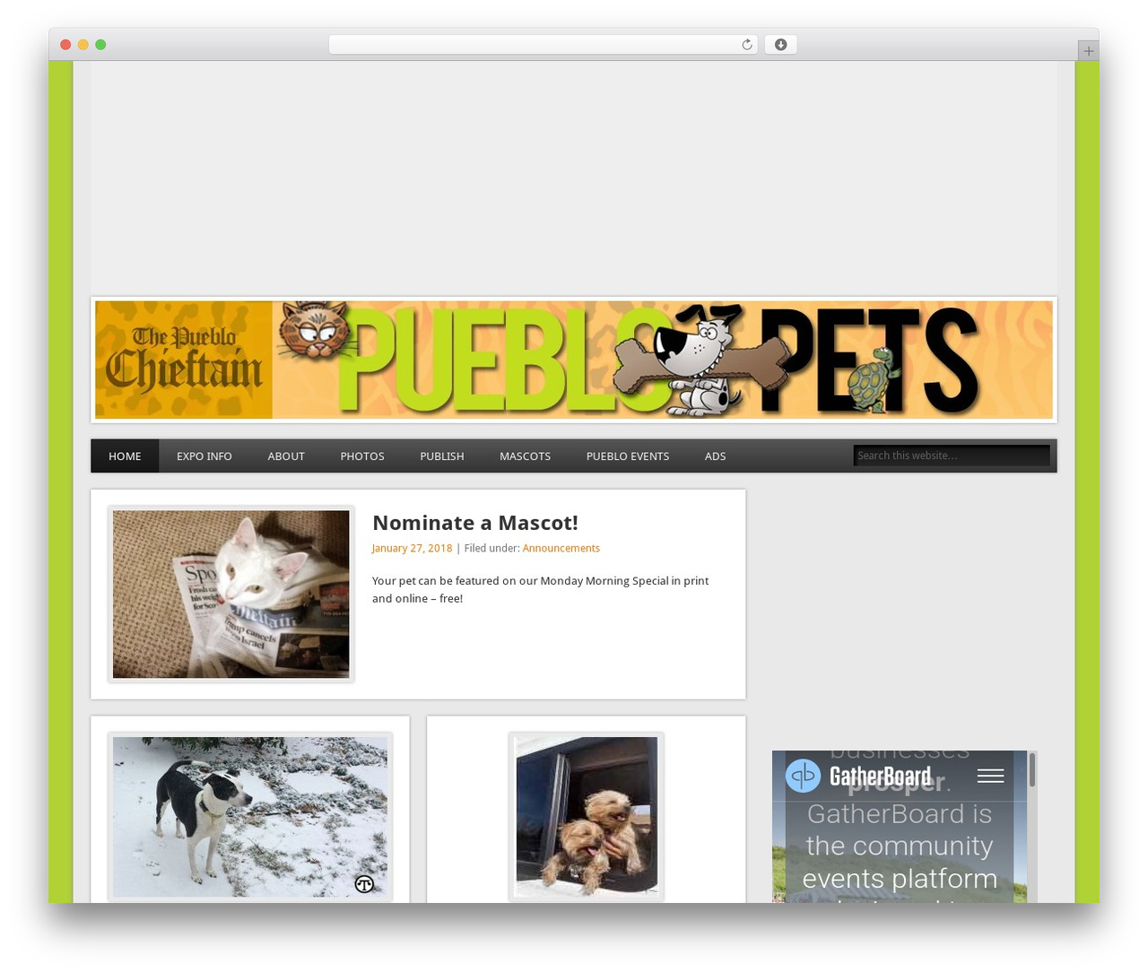 Esplanade WordPress theme - pets.chieftain.com