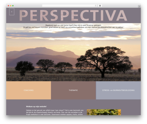 Genesis WordPress theme - perspectiva.nl