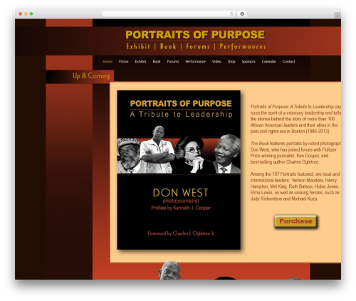 Final tiles gallery WordPress plugin - portraitsofpurpose.us