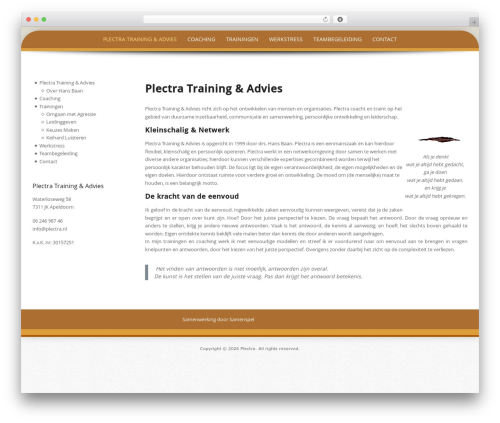 Preferential Lite free WP theme - plectra.nl