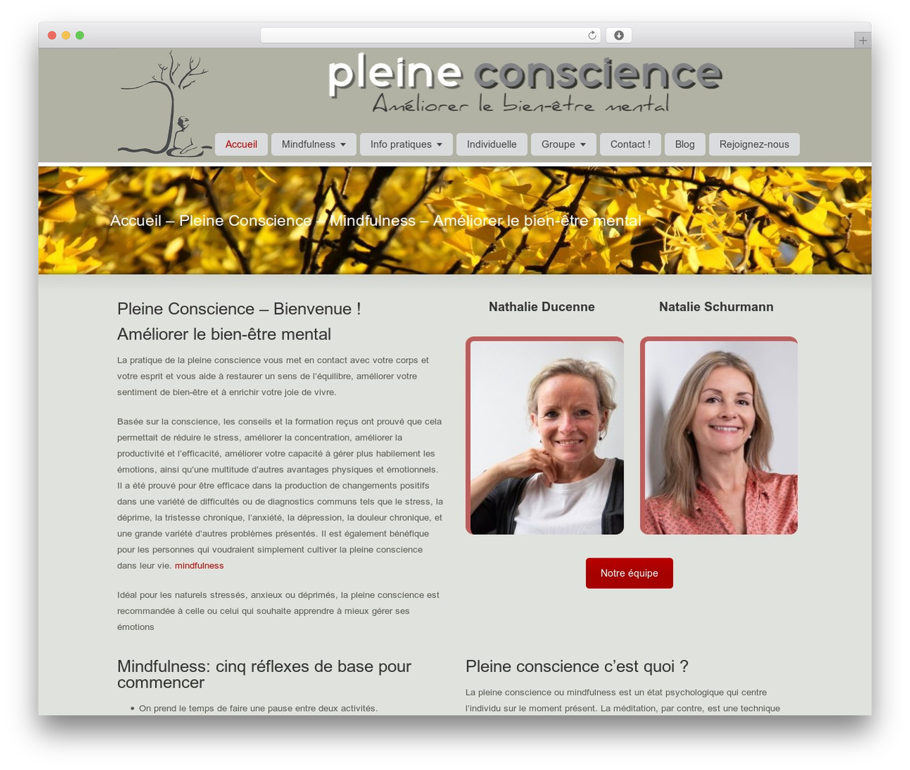 Striking MultiFlex & Ecommerce Responsive WordPress Theme WordPress theme - pleine-conscience-mindfulness.be Striking MultiFlex & Ecommerce Responsive WordPress Theme WordPress theme - pleine-conscience-mindfulness.be