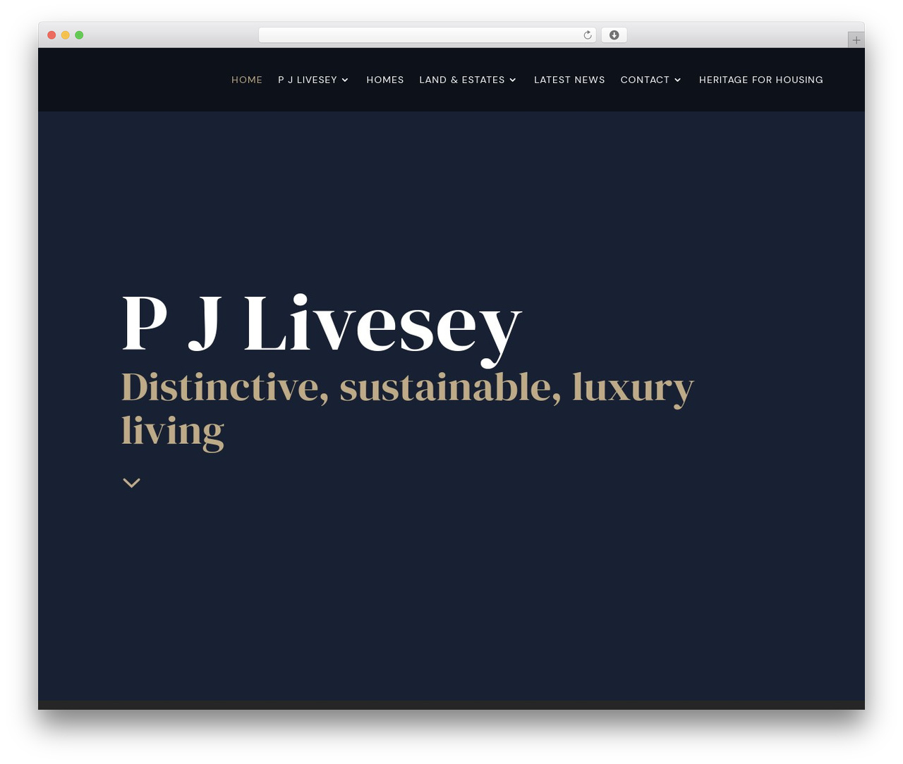 Theme WordPress Divi - pjlivesey-group.co.uk Theme WordPress Divi - pjlivesey-group.co.uk
