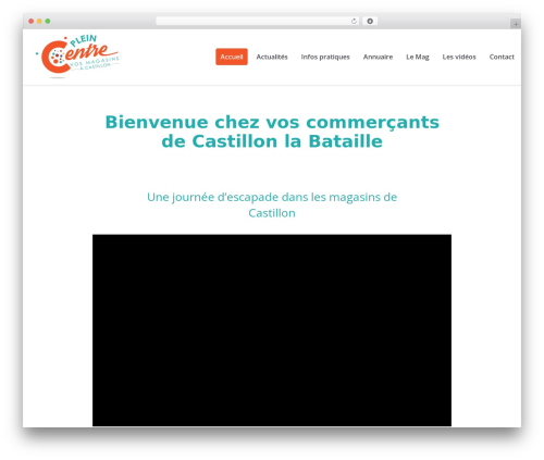 Ajaxy search form WordPress plugin - plein-centre.fr