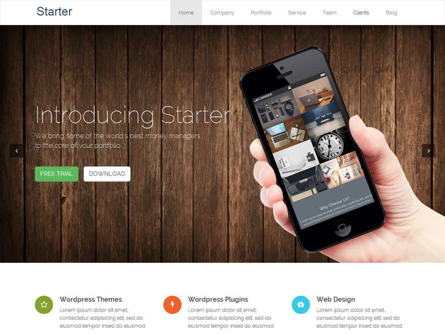 Theme WordPress starter Theme WordPress starter