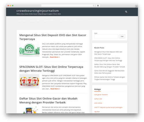 VT Blogging WP theme - crowdsourcinginjournalism.com