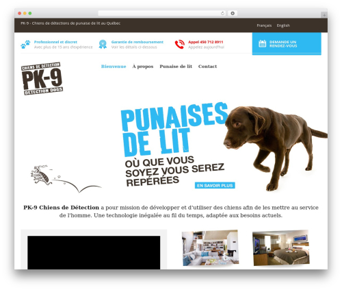 Airpro plugin WordPress plugin - pk9.org