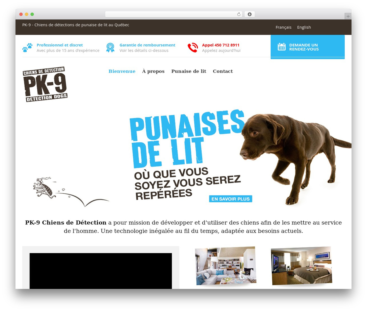 WordPress theme PK9 - pk9.org