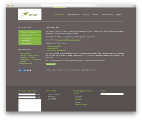 Simple contact info WordPress plugin - procaro.nl