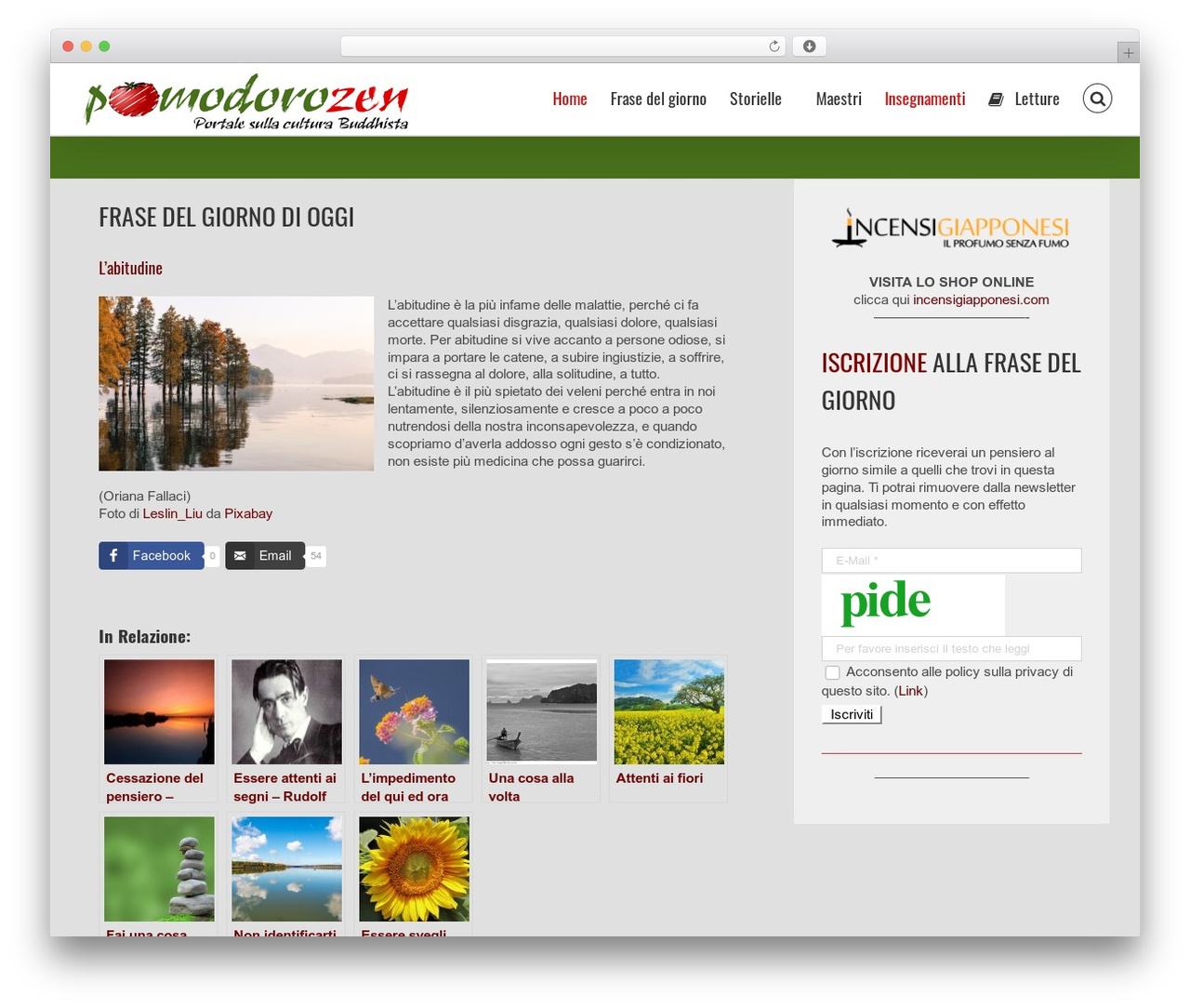 Avada WordPress theme - pomodorozen.com Avada WordPress theme - pomodorozen.com