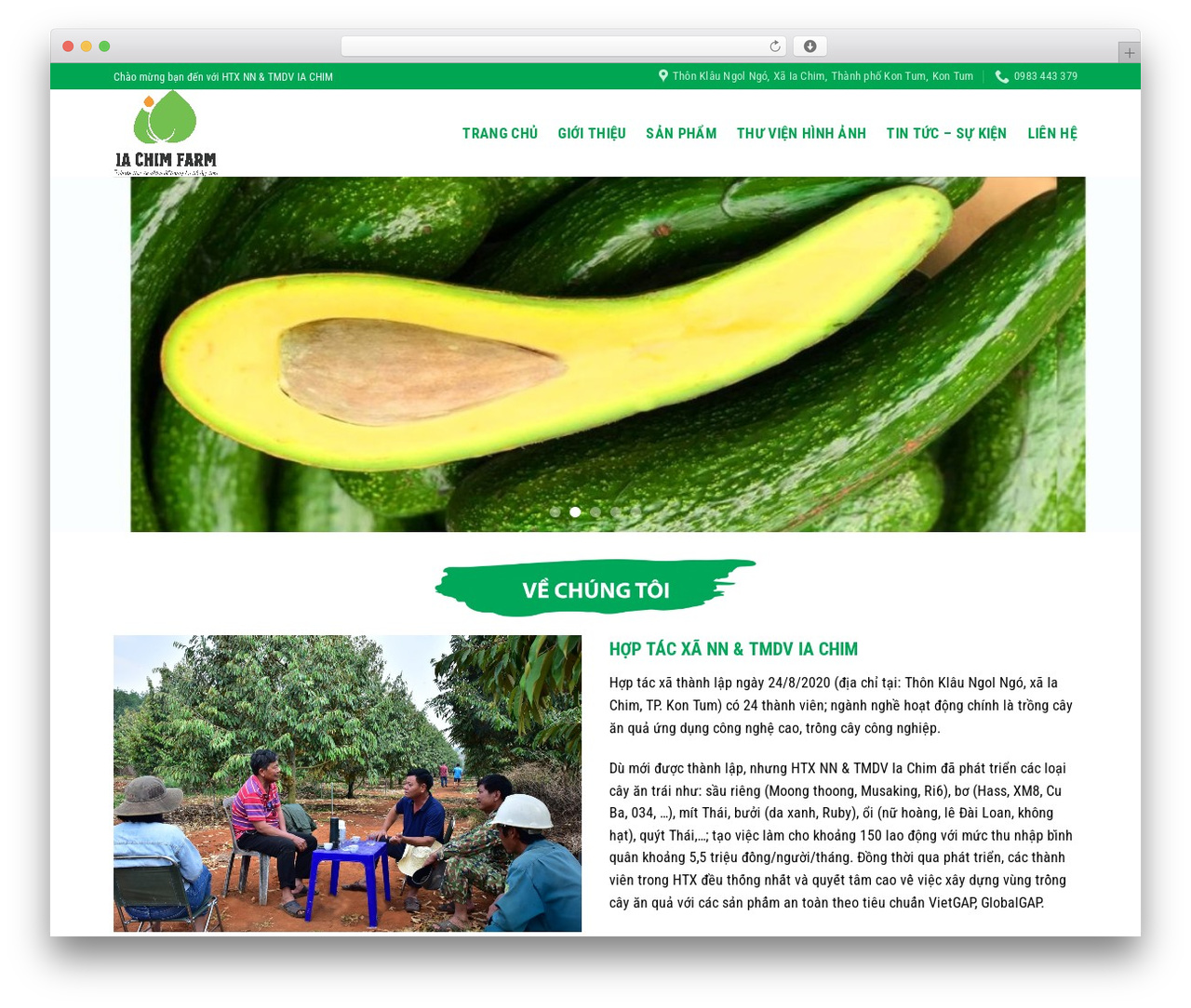 Flatsome WordPress theme - hoptacxaiachim.com Flatsome WordPress theme - hoptacxaiachim.com