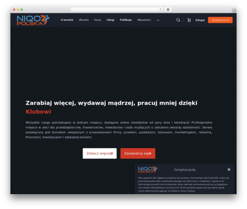 BuddyBoss Theme best WordPress theme - niqo.pl