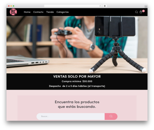 Cize WP theme - lookingchile.cl