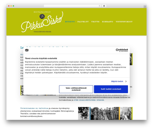 Divi theme WordPress - pikkusisko.fi