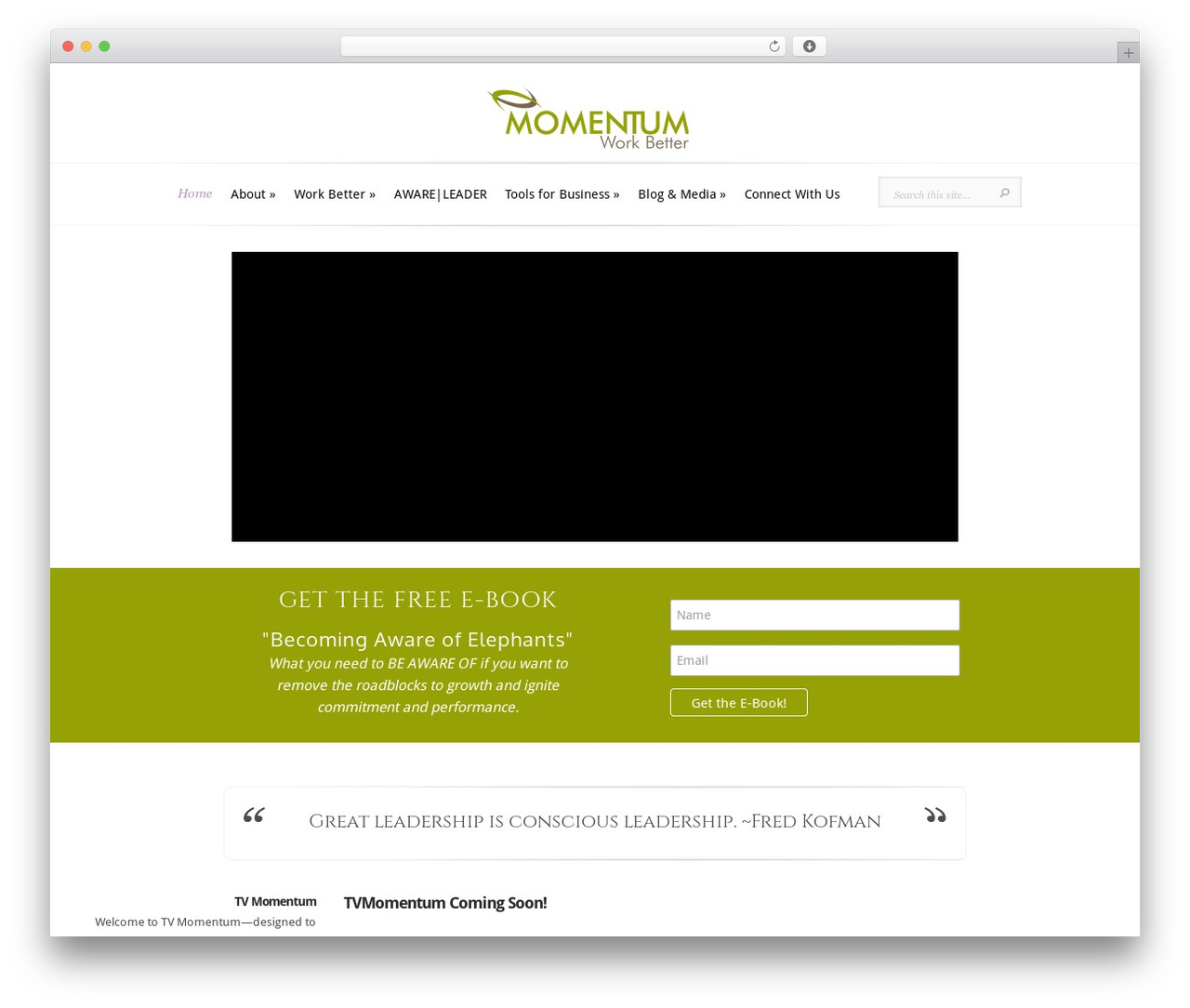 Evolution WP theme - producemomentum.com Evolution WP theme - producemomentum.com