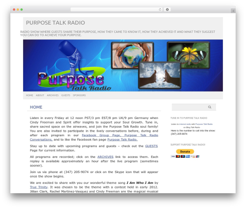 picolight theme WordPress - purposetalkradio.com