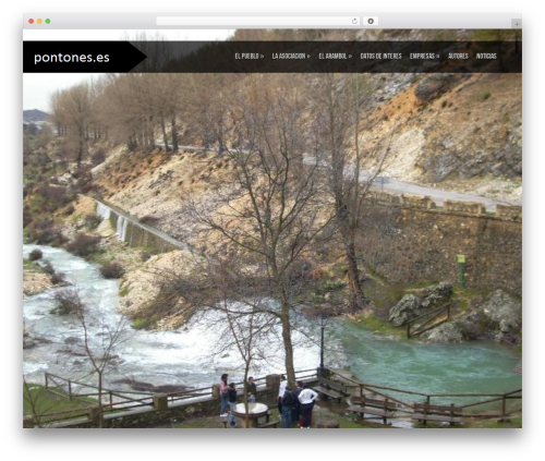 Shuttershot top WordPress theme - pontones.es