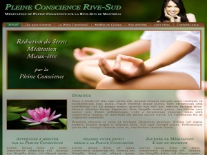 Theme WordPress conscience Theme WordPress conscience