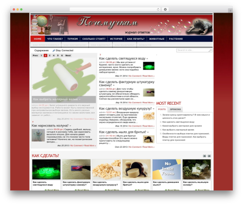 Theme WordPress Transcript - pochemuchkam.ru
