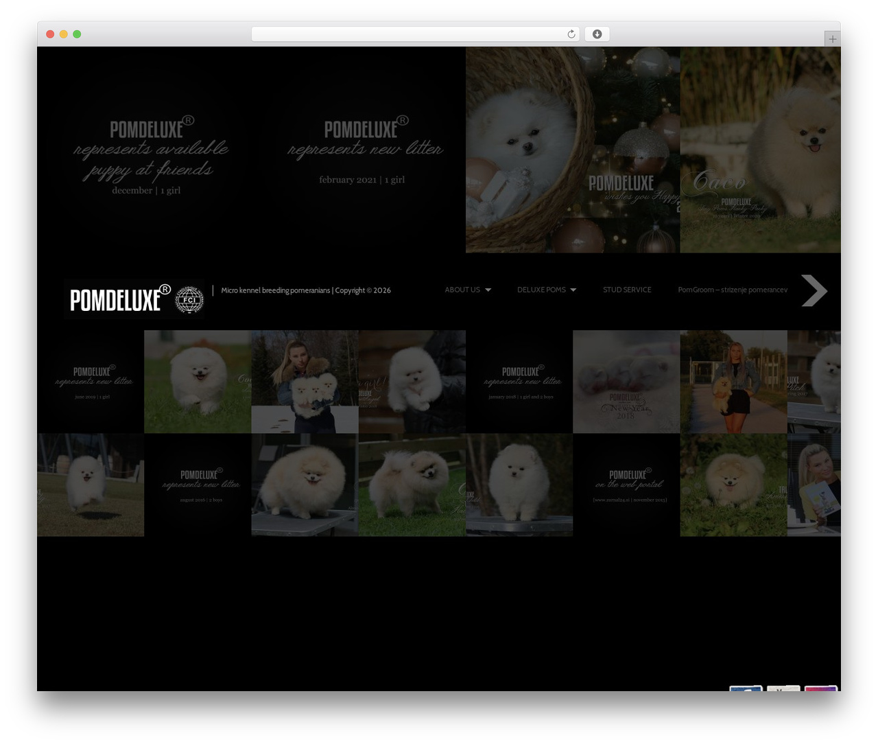 WordPress theme Fullscreen - pomdeluxe.com WordPress theme Fullscreen - pomdeluxe.com