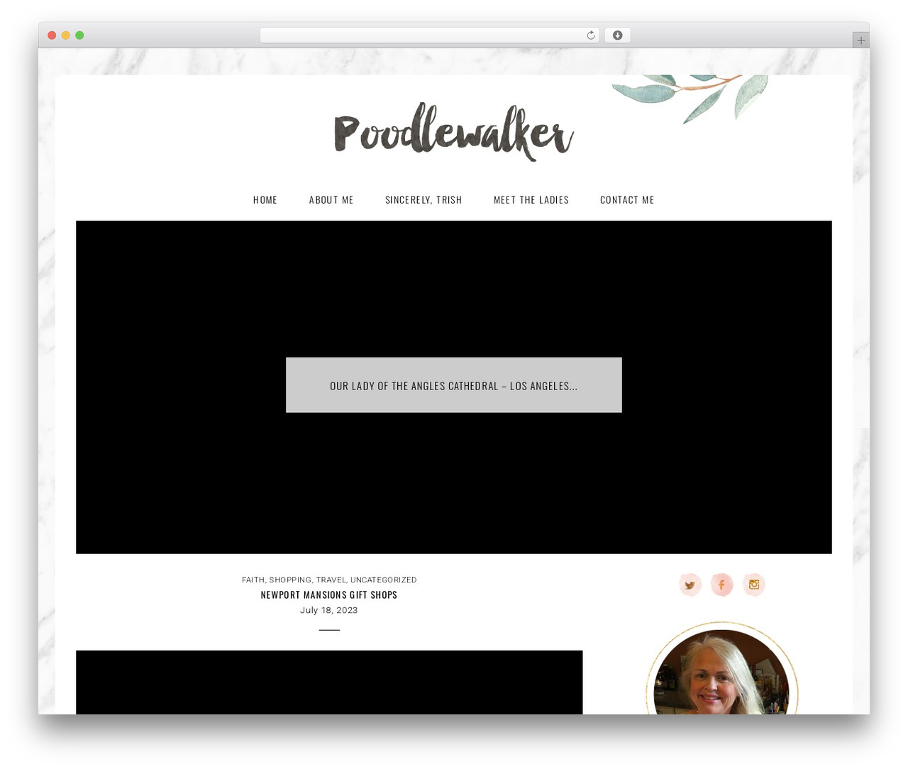 WordPress theme Montpellier - poodlewalker.com WordPress theme Montpellier - poodlewalker.com