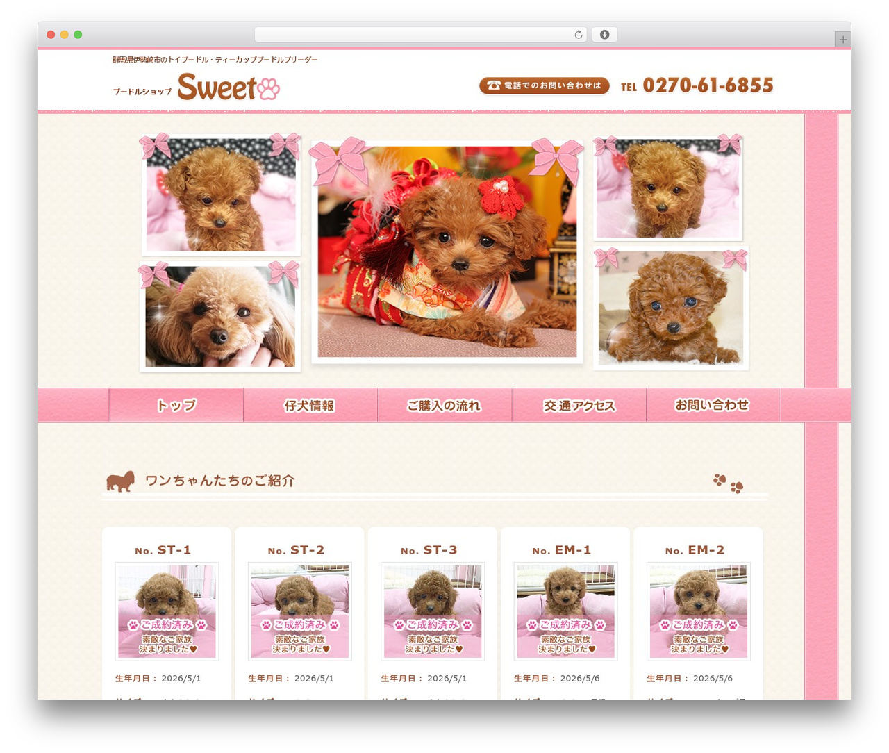 WordPress theme sweet - poodle-shop-sweet.com