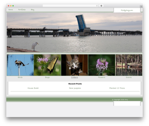 Amy's Theme top WordPress theme - pixbyamy.com