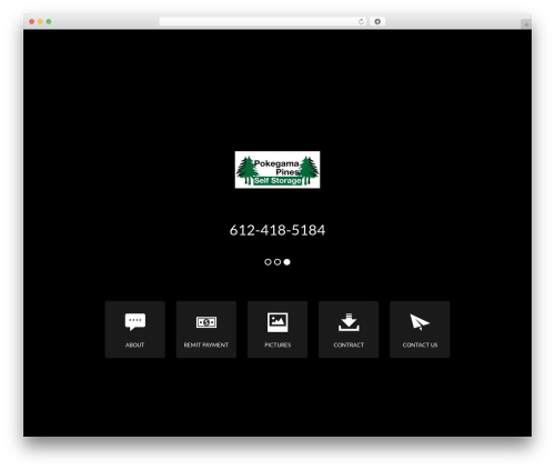 Apex theme WordPress - pinecitystorage.com