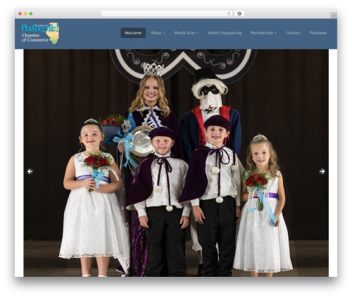 Flat Theme WordPress theme - pinckneyville.com