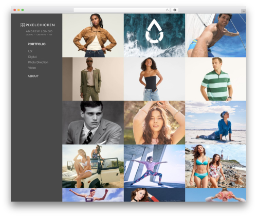 Huge WordPress theme design - pixelchicken.net