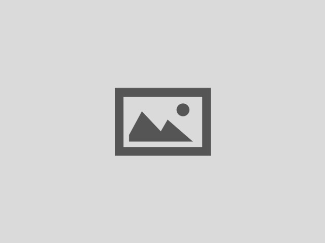parking WordPress website theme by moja