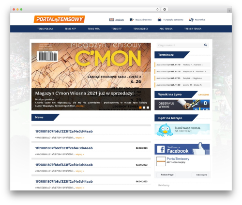 Post Hit Counter (post-hit-counter) free WordPress plugin - portaltenisowy.info