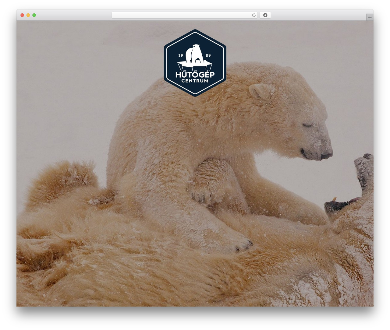 Willow WordPress theme - hutogepek.hu Willow WordPress theme - hutogepek.hu