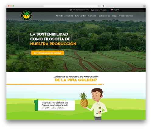 Frontend_builder WordPress plugin - pineapplecr.com