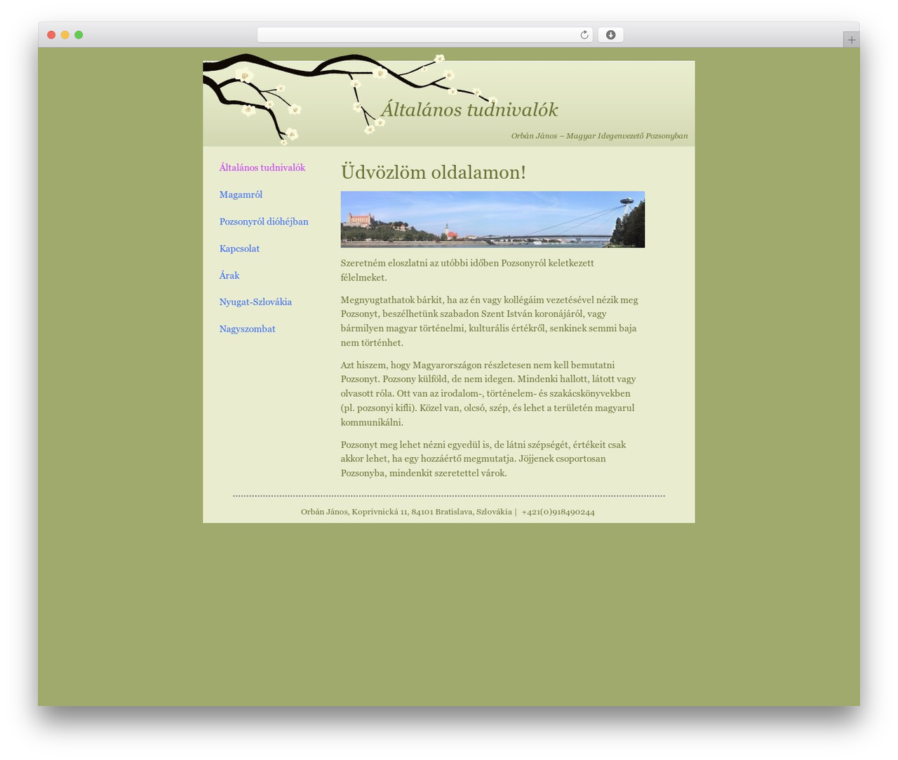 WordPress website theme SoftGreen - pozsonyiidegenvezeto.sk