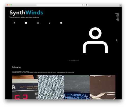 Marquee block WordPress plugin - synthwinds.com