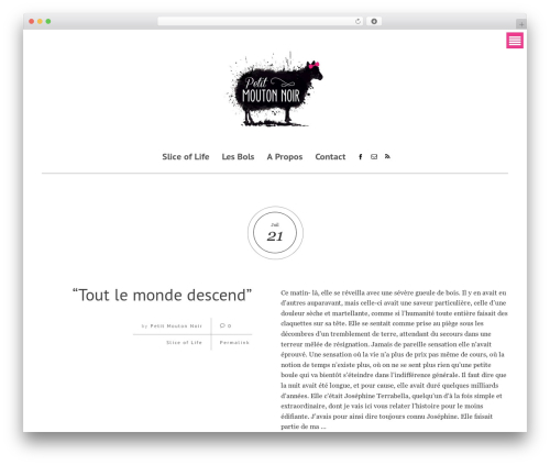 Wi portfolio WordPress plugin - petitmoutonnoir.com