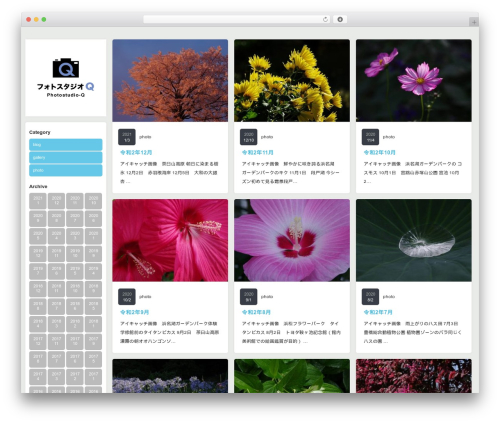 Grider TCD015 theme WordPress - photostudio-q.com