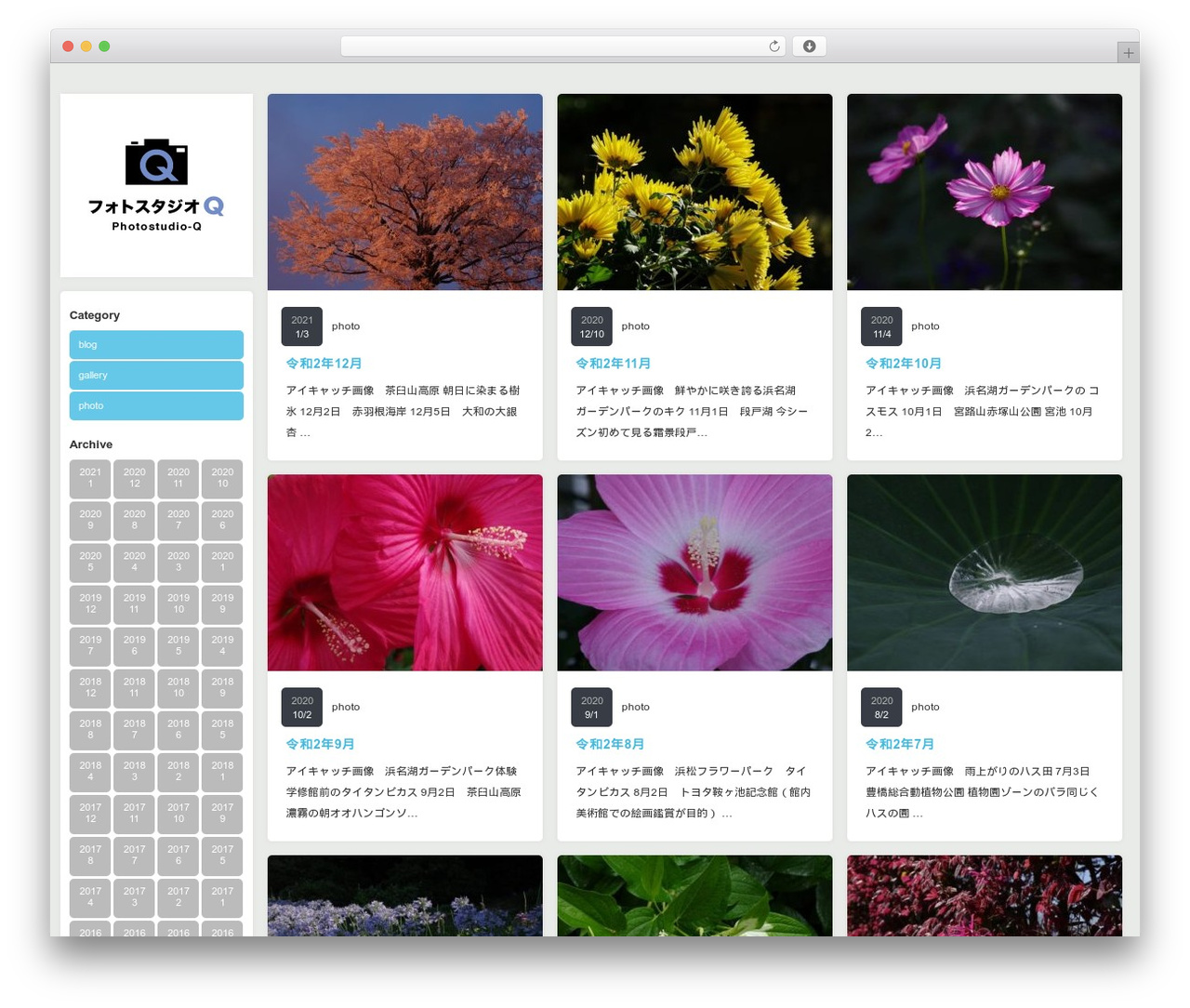 Grider TCD015 theme WordPress - photostudio-q.com