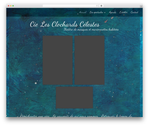 Omnisend WordPress plugin - cielesclochardscelestes.fr